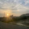 amisya354