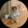 ★ الهندي الــ🇬🇧🍃¹ ★