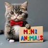 Mini Animals