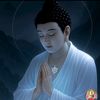 hongphai91