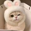 au.naa4_cihuyyy