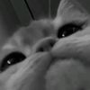 _byloly05