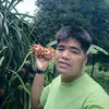 denisballacay