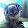 miwochan0