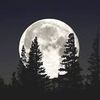 dwmoon20