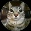 lorenzoalfons0