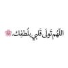 user2569736708