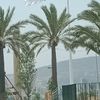 mohamedbensakhri3