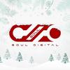 SouL Digital