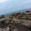user1790061684063