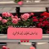 malak.abd.elghfar0