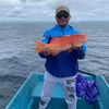 Bluefishing