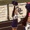 brays_spamm67