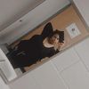 yo_gir_vaeh01