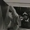 direnecoelho3