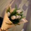asmaa_2009x