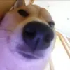 thichreview484