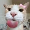 oliviaax62