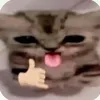 k_3k13