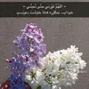mhamad.wrya30