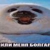 vkmfenixbs