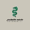 Petutto Nieto Automobili