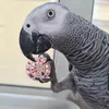 sarahbfsli4