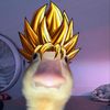 DUQN