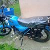 el.perro4552