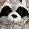 raccoon.da.real