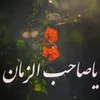 user4725281631771
