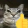 mingau_03