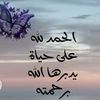 user86077723976120