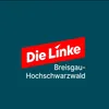 die_linke_bhs