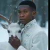 mrmash31