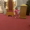 el.sevi1