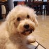 youjust_found.angel01