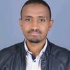 muhammednur2813