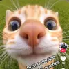 mily_14348
