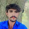 user03429833561