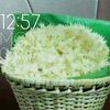 user9303738017650