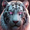 duy.manh422