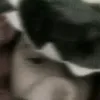ceoofdreamer