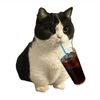 cakitten7