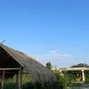 Aiဘာသာပြန်ဇာတ်ကားများ