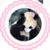 sxrah.https
