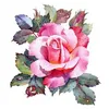 oummi.fatma
