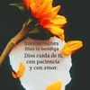 claudia.jarguin