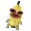 allynsjhw