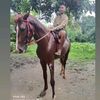 m.khant901